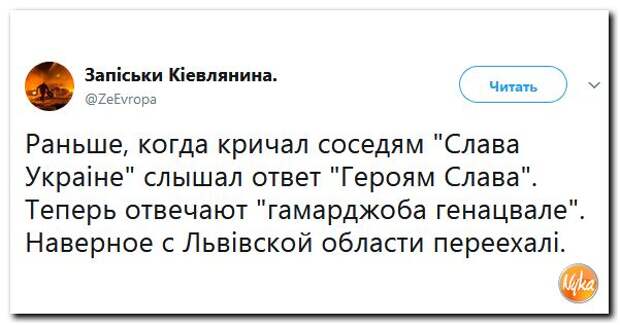 Генацвале это с грузинского перевод. Гамарджоба Генацвале. Что значит Генацвале. Гамарджоба Генацвале перевод с грузинского на русский. Генацвале перевод с грузинского на русский означает.