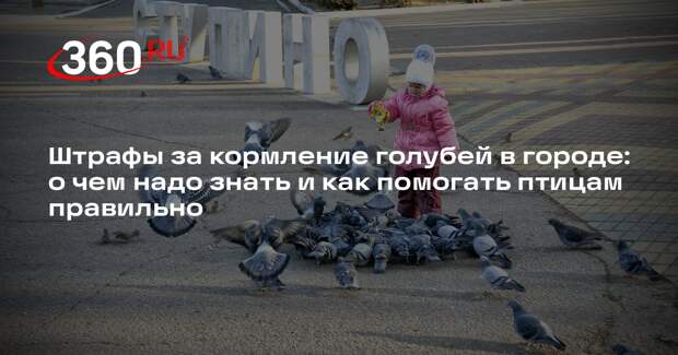 Инфекционист Вознесенский объяснил, какие болезни переносят городские голуби