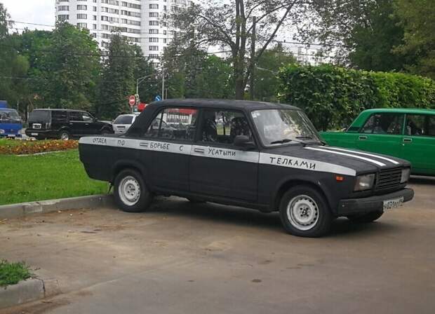 А зачем с ними бороться? А зачем с ними бороться?
