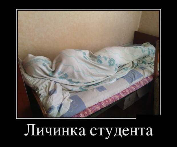 Смешные демотиваторы для настроения (10 фото)