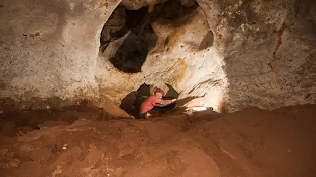 В Крыму найдена гигантская ископаемая птица