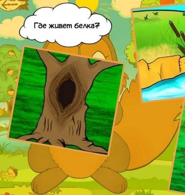 Что с дуплом? Задачи для детей, задания, странности, учебники, школа, юмор