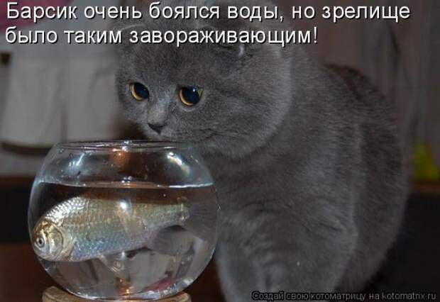 Мысли вслух :)