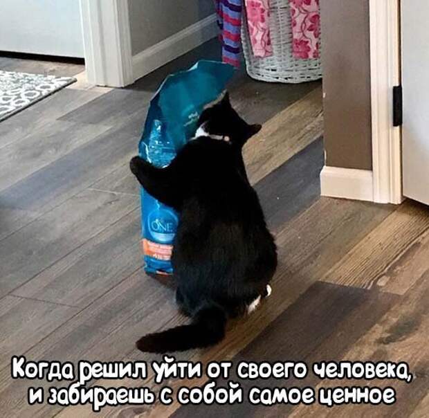 Прикольные и смешные картинки