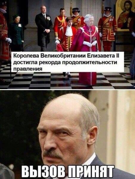 Смешные картинки с надписями с надписями, смешные картинки