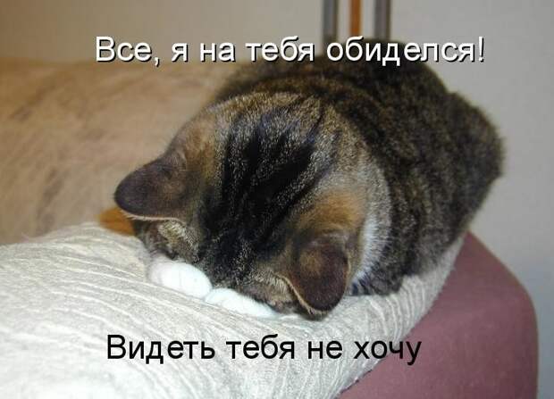 Как жаль, что братья наши меньшие иногда грустят и обижаются.... Как жаль, что братья наши меньшие иногда грустят и обижаются.... грустно, животные, обиделись, смешно