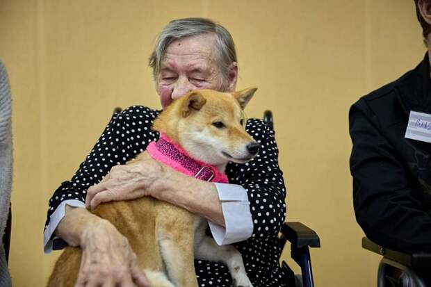 В доме-интернате «Мольгино-Городня» провели занятия по канистерапии