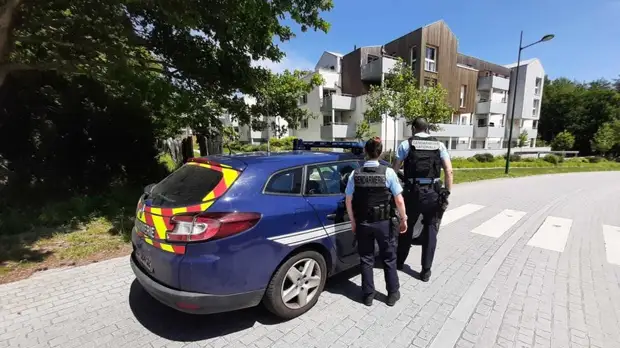 Задержанный после нападения на сотрудницу полиции под Нантом мужчина скончался