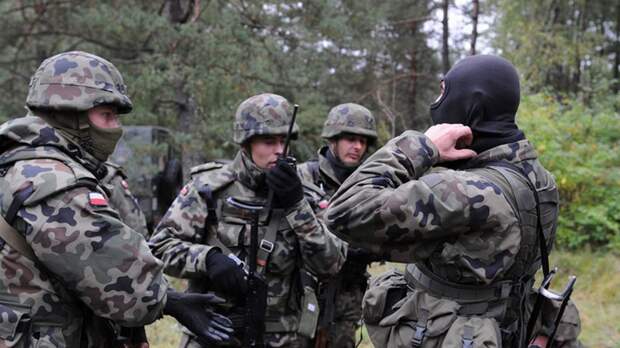 Польские наемники подтвердили свое участие в атаке на Белгородскую область