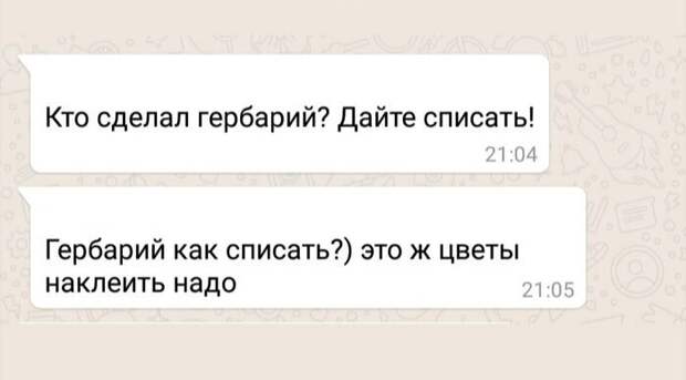 Родители и их безумные чаты Родители и их безумные чаты