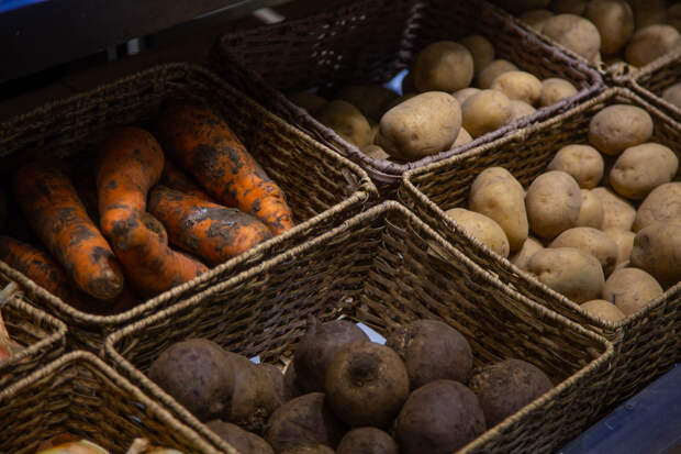 В России картофель подорожал почти на 50%