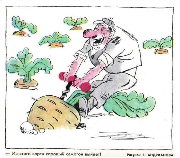 Карикатуры про самогонщиков в СССР СССР, карикатуры, самогонщики