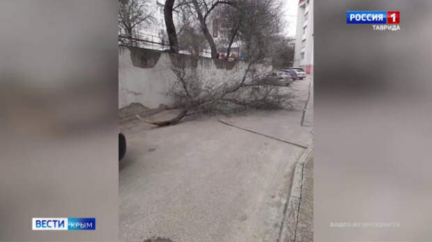 Непогода обрушилась на полуостров