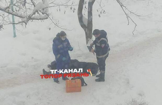 Женщина внезапно скончалась на улице в Рязани — соцсети