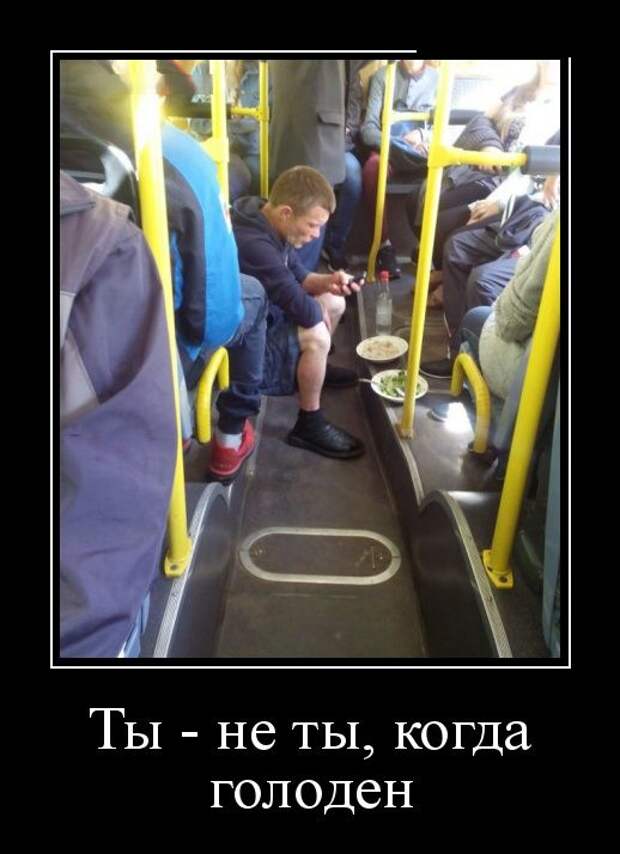 Демотиваторы №1641 (30 фото)