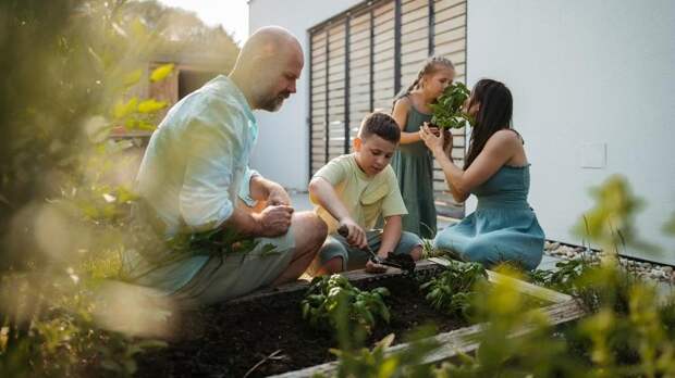 Нуклеарная семья: как не распасться, когда весь мир давит на «ядро»