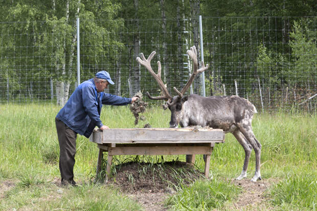 Красоты России. Керженский заповедник