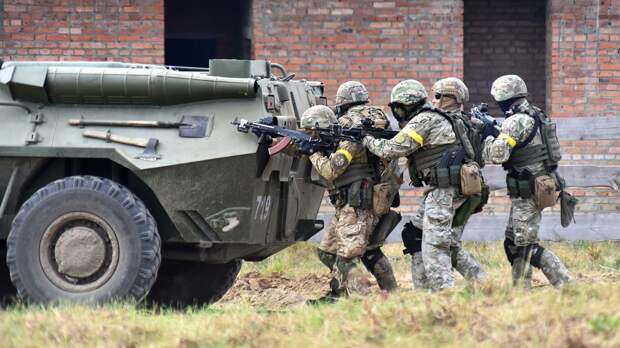 Украина добилась от НАТО нового пакета Целей партнерства 