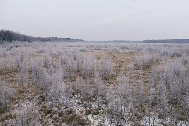 Сергиев Посад зимой: идеальное направление для новогодних поездок и дегустации сбитня