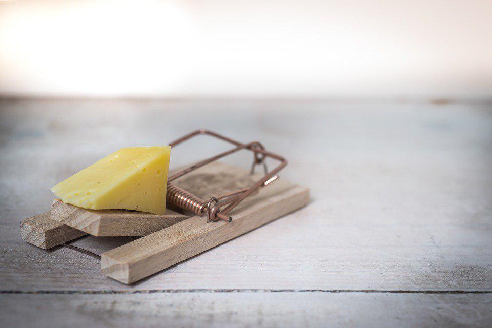 Мышеловка. Фото: pixabay.com