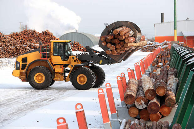 MTV: цены на древесину в Финляндии рекордно выросли из-за санкций против РФ