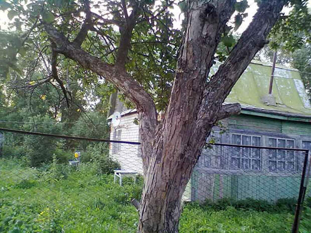 find-hidden-cat-camouflage-hide-and-seek-catouflage-208