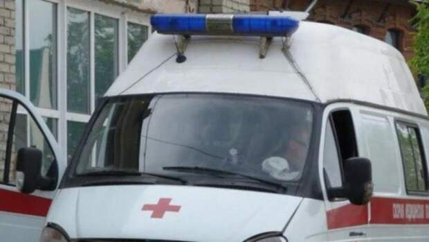 Бешеная рысь напала на девочку в детском лагере под Уфой