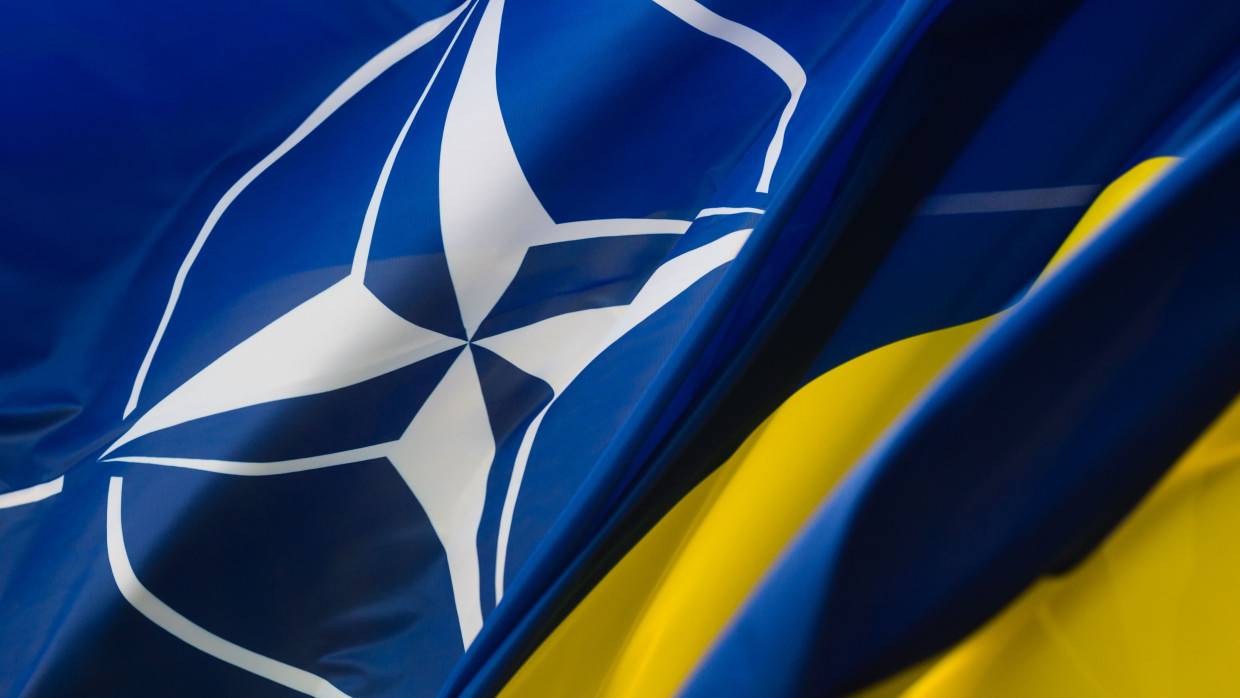 Немецкий дипломат посоветовал Украине не вступать в НАТО по примеру Финляндии