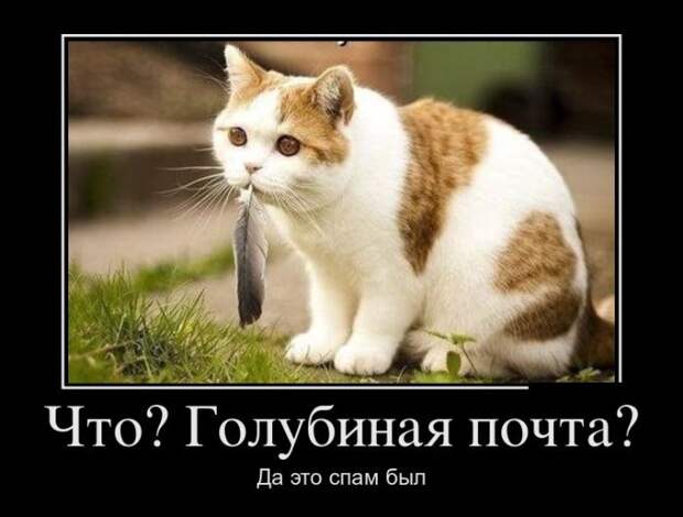 Демотиваторы (30 фото)