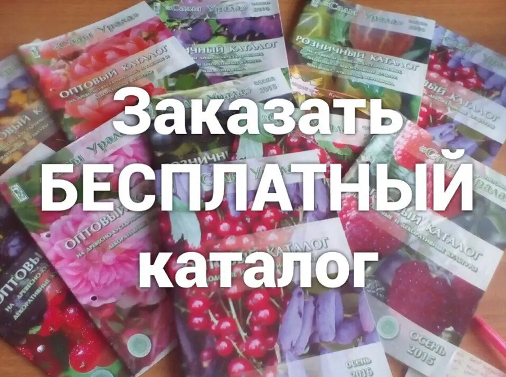 Сады урала интернет. Сады Урала каталог на 2021 год Весна. Сады Урала каталог. Питомник сады Урала каталог. Сады Урала Артёмовский каталог.