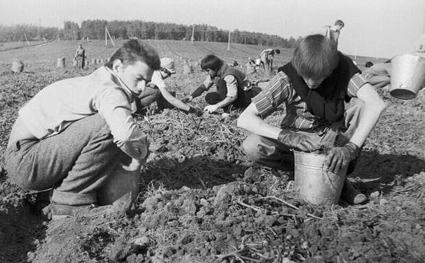 Общественно-полезный труд в СССР