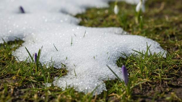 Синоптик Шувалов высказался о вероятности выпадения снега в Москве