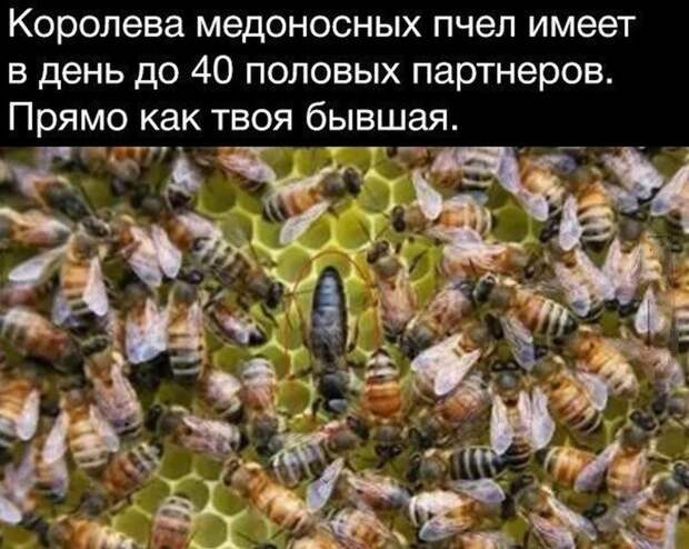 11. А они все не унимаются 11. А они все не унимаются бывшая девушка, бывшие, обидно, сарказм, фото, шутки