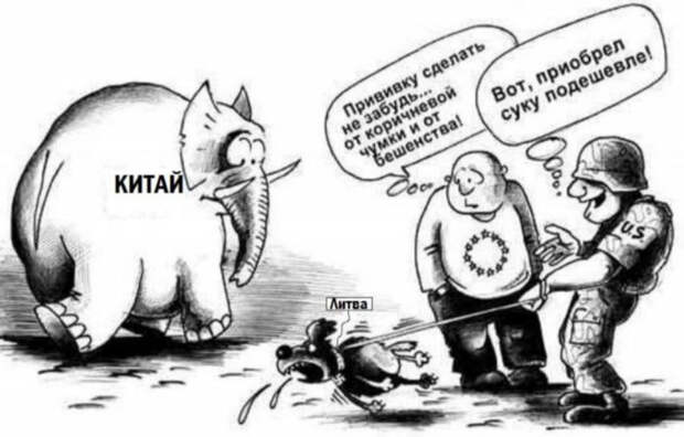 Новости палаты №6