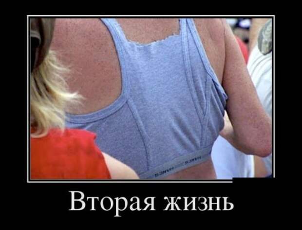 Демотиваторы
