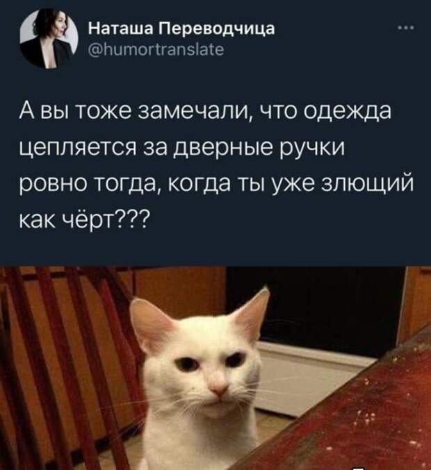 Смешные картинки вечер 3 марта 2021