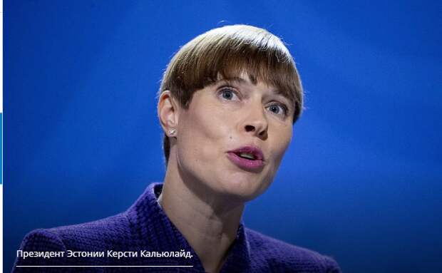 Президент Эстонии выдвинула претензии на российскую Нарву и Печоры