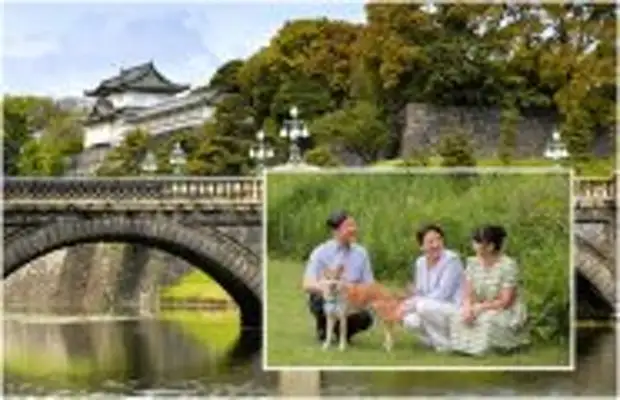 Art: Какие права и обязанности у нынешнего правителя Японии императора Нарухито