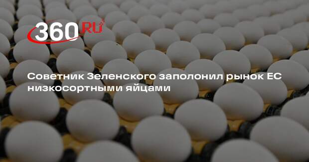 BZ: рынок ЕС заполонили низкосортные яйца с Украины