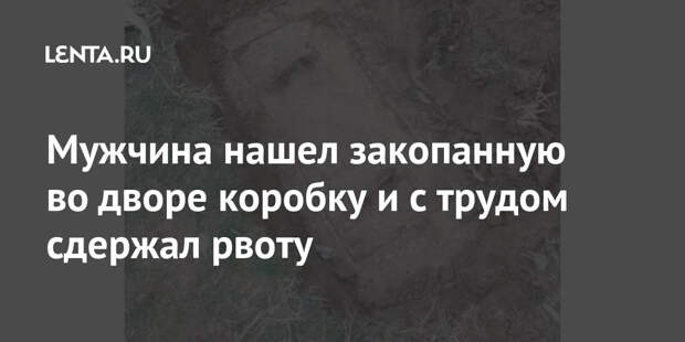 Мужчина нашел закопанную во дворе коробку и с трудом сдержал рвоту