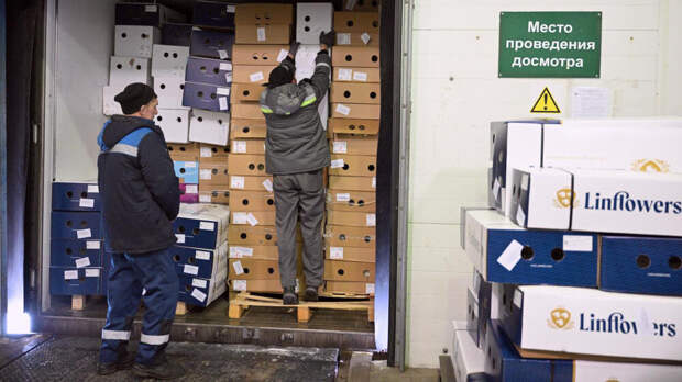 Глава АвтоГрузЭкс: рентген грузов приведет к миллиардным убыткам перевозчиков