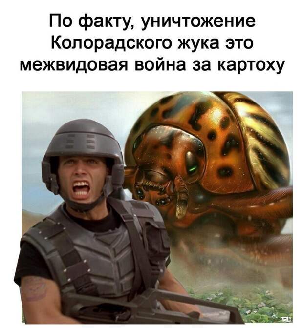 Комментарии и картинки из соцсетей