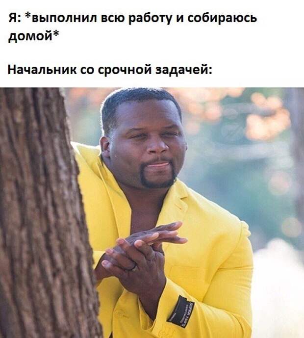 На рабочую тему