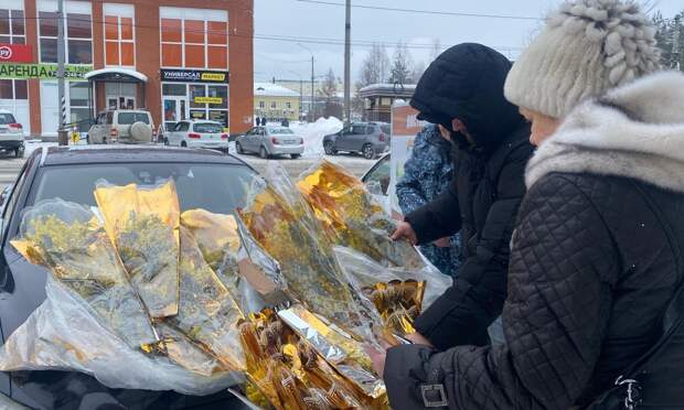 Веточки мимозы начали продавать на улицах Архангельска