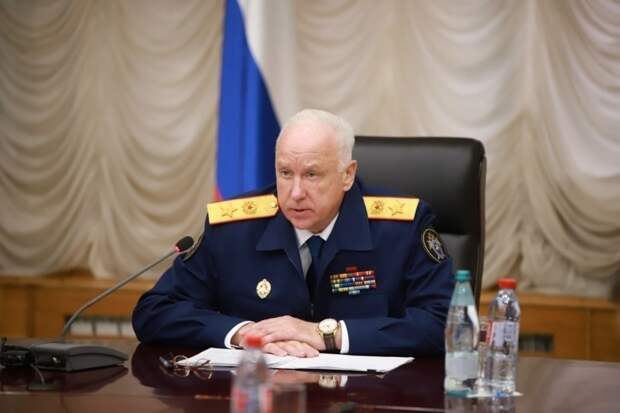 Глава СК Бастрыкин заинтересовался историей с избиением девочки под Петербургом