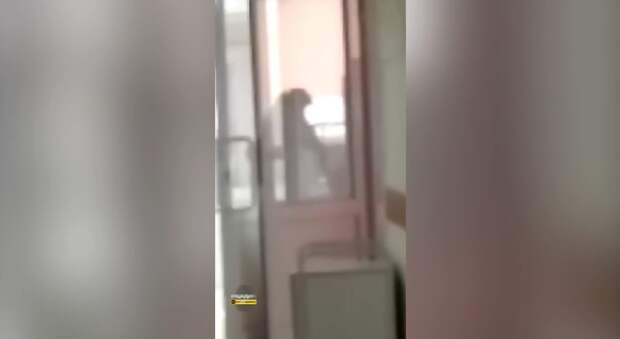 Медработница швыряла младенца на койке (ВИДЕО)
