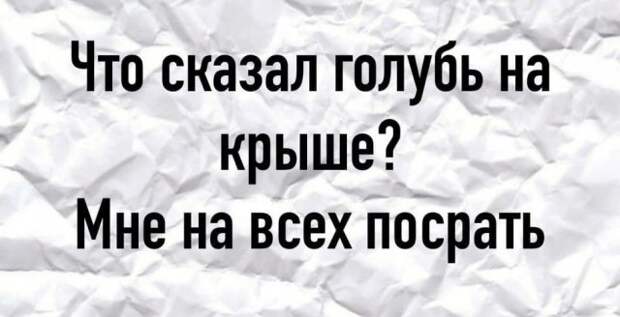 Плохие шутки от пользователей