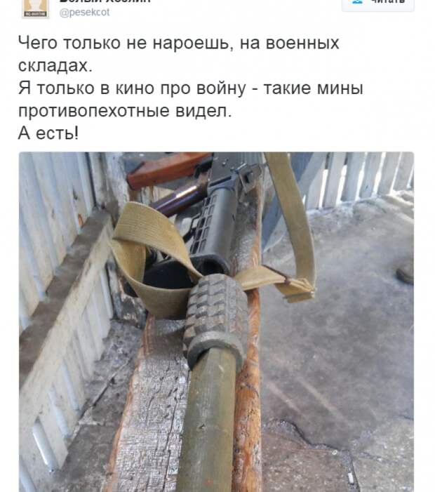 Язык-помело. Большая перемога Невзорова Язык-помело. Большая перемога Невзорова