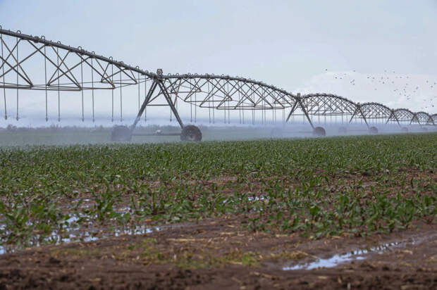 На поддержку крымских мелиораторов выделят 227,7 млн рублей