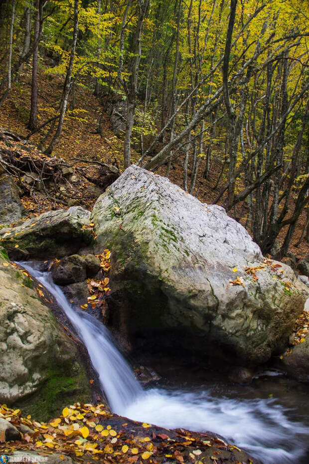 Вспоминая осень...